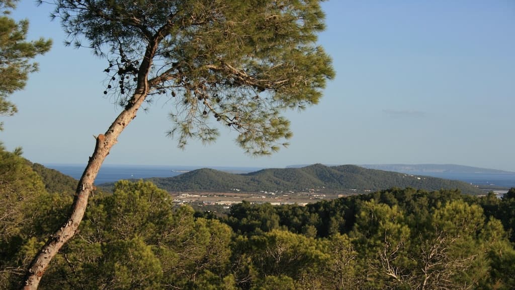 VILLA ESCONDIDA, San José, Ibiza — photo 33
