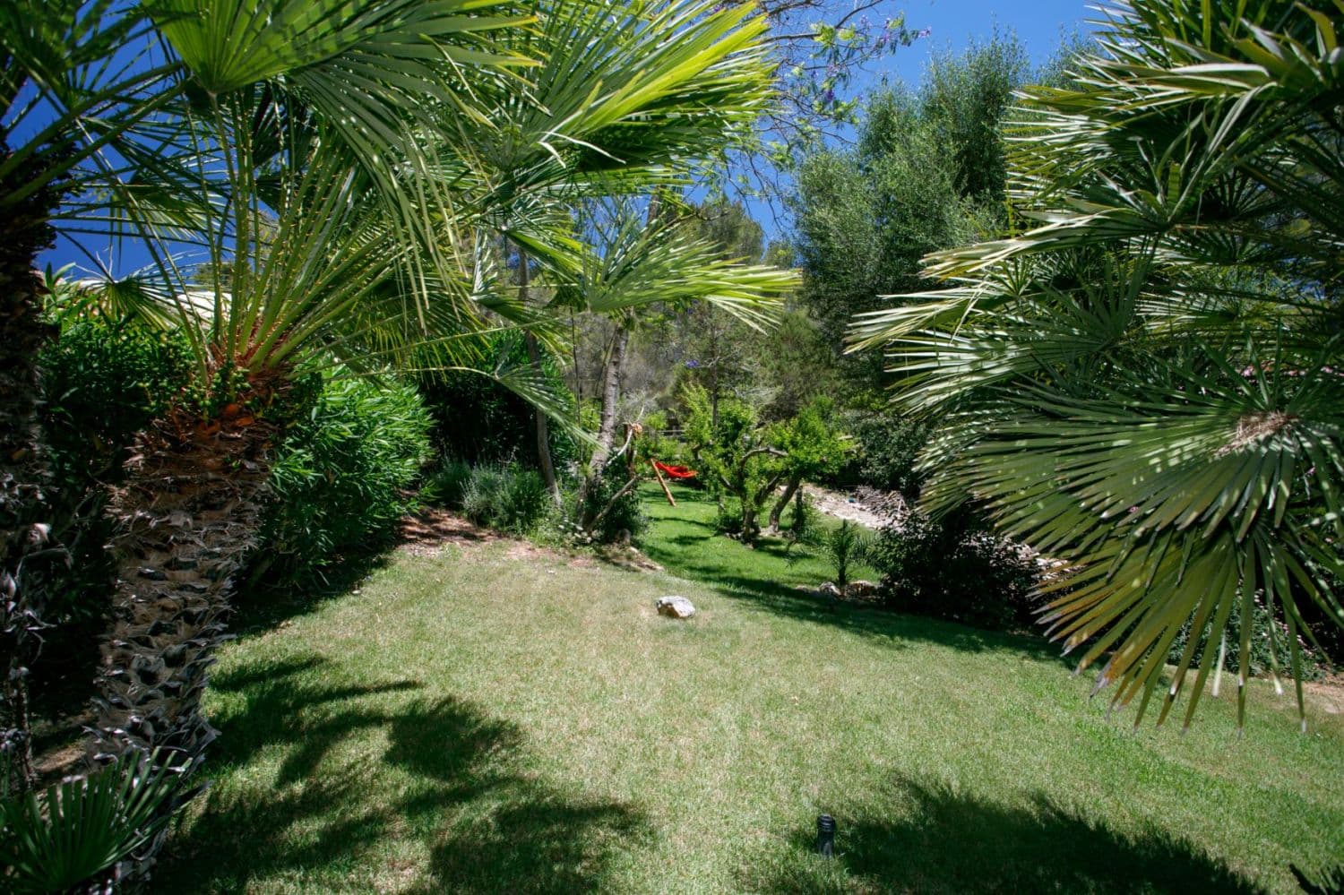 CASA MAXI, Can Thomas, Ibiza — photo 33