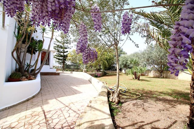 CAN CARVA, San Antonio, Ibiza — photo 12
