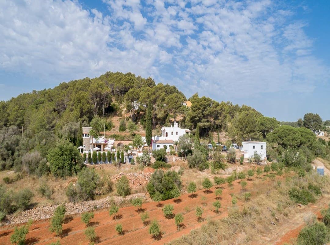 CAN DAPHNE, Santa Gertrudis, Ibiza — photo 96