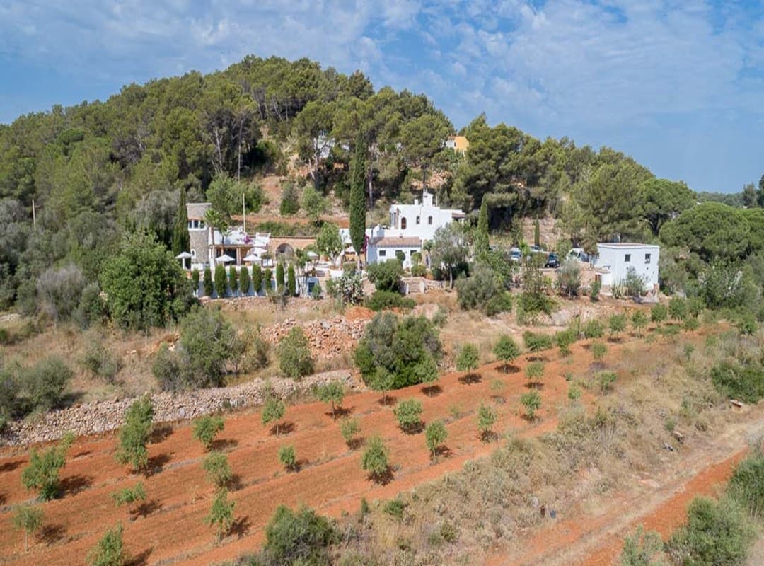 CAN DAPHNE, Santa Gertrudis, Ibiza — photo 97