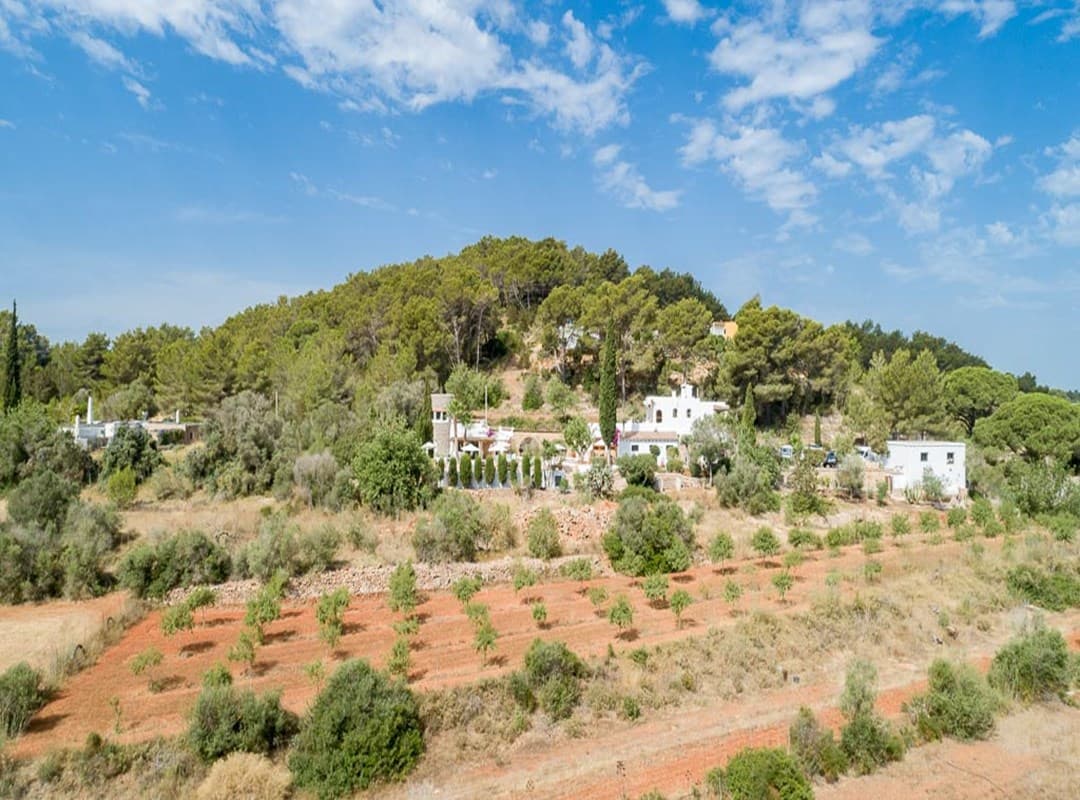 CAN DAPHNE, Santa Gertrudis, Ibiza — photo 105