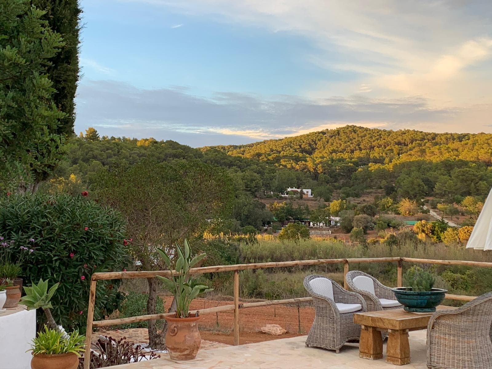 CAN DAPHNE, Santa Gertrudis, Ibiza — photo 107