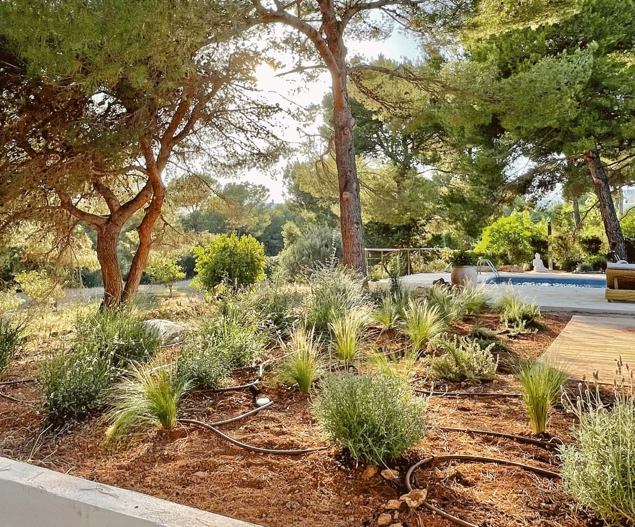 VILLA CAN YUNDAL, Cala Jondal — photo 6