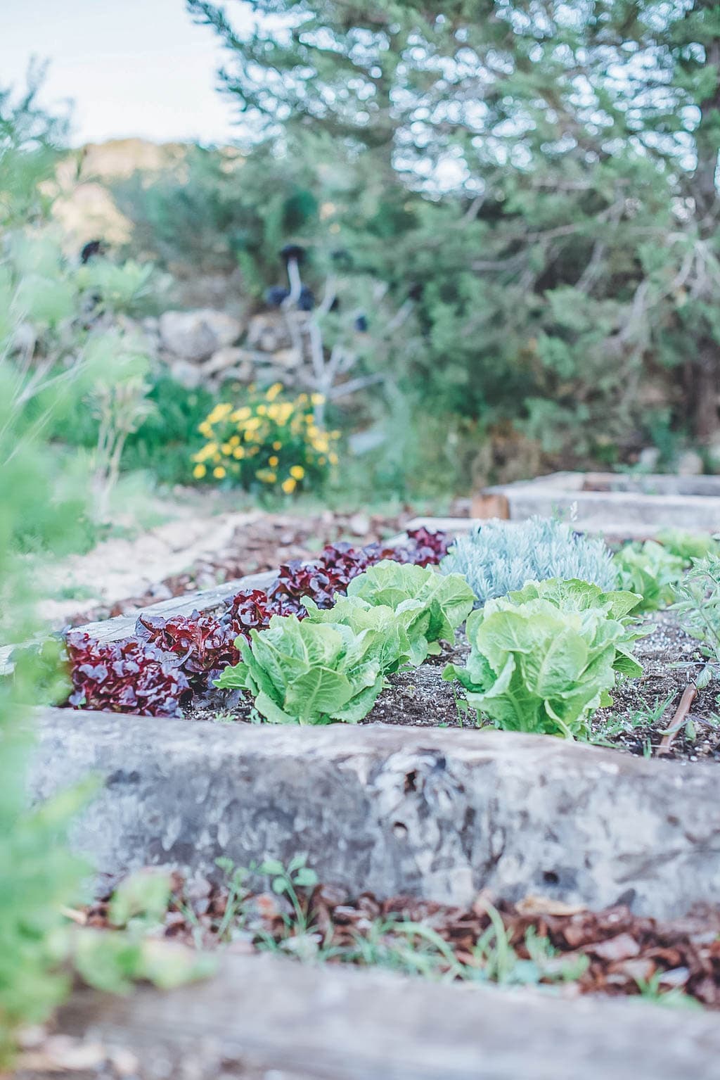CAN JASMINE, San Augustin — photo 29
