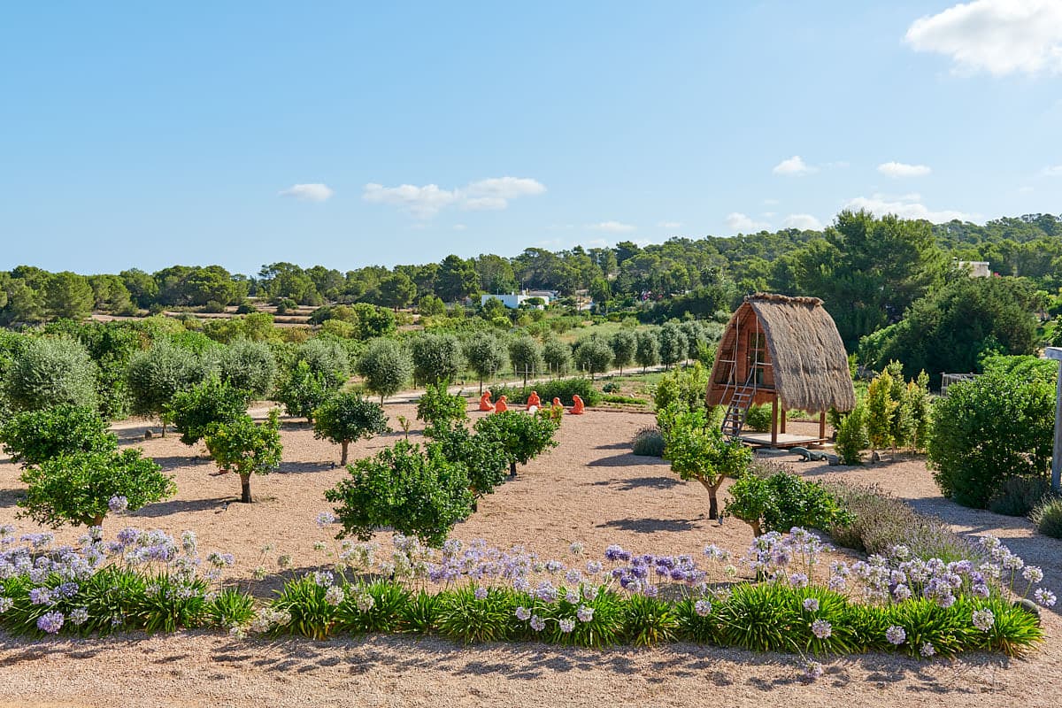 CAN BASSET, Cala Bassa — photo 19