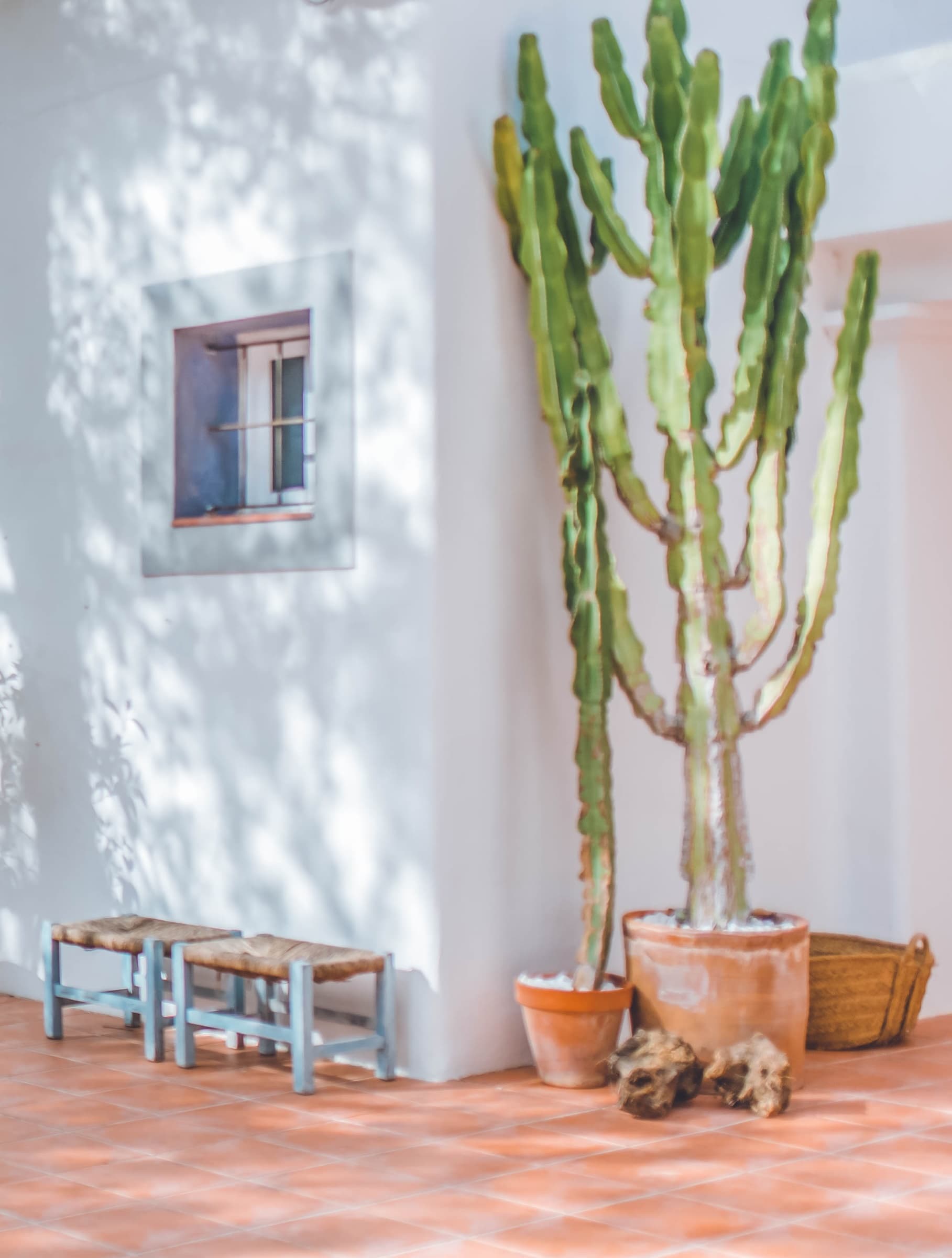 CAN ALANA, Cala Tarida — photo 33