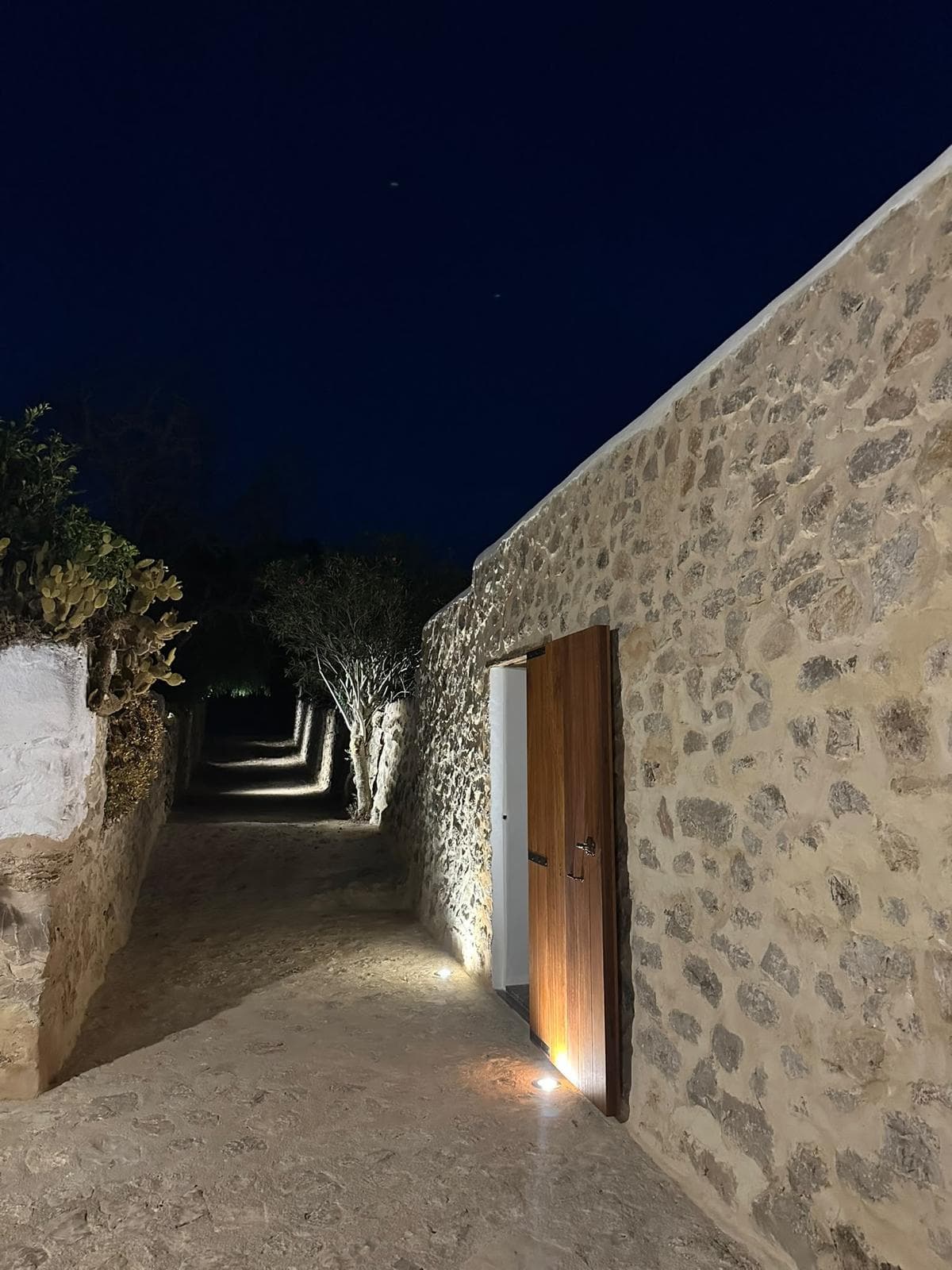 FINCA IBICENCA CON ALMA E HISTORIA, Sant Joan de Labritja. — photo 32